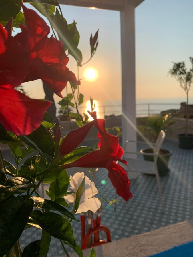 La Piazza Beb Bed & Breakfast Tropea Eksteriør bilde